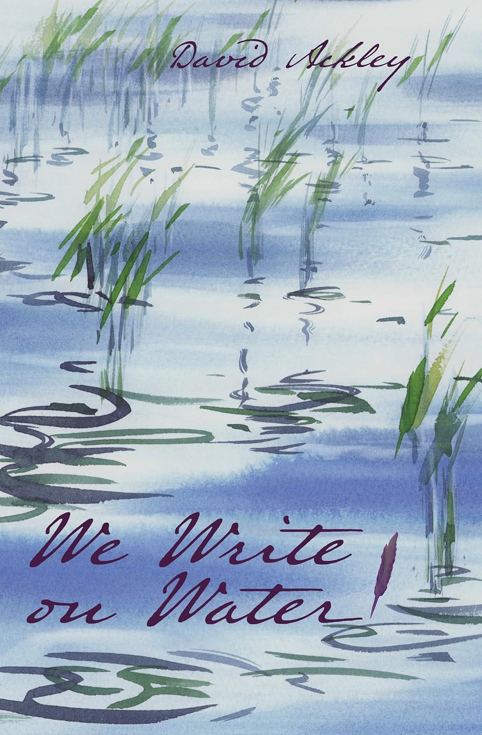 We Write on Water cover